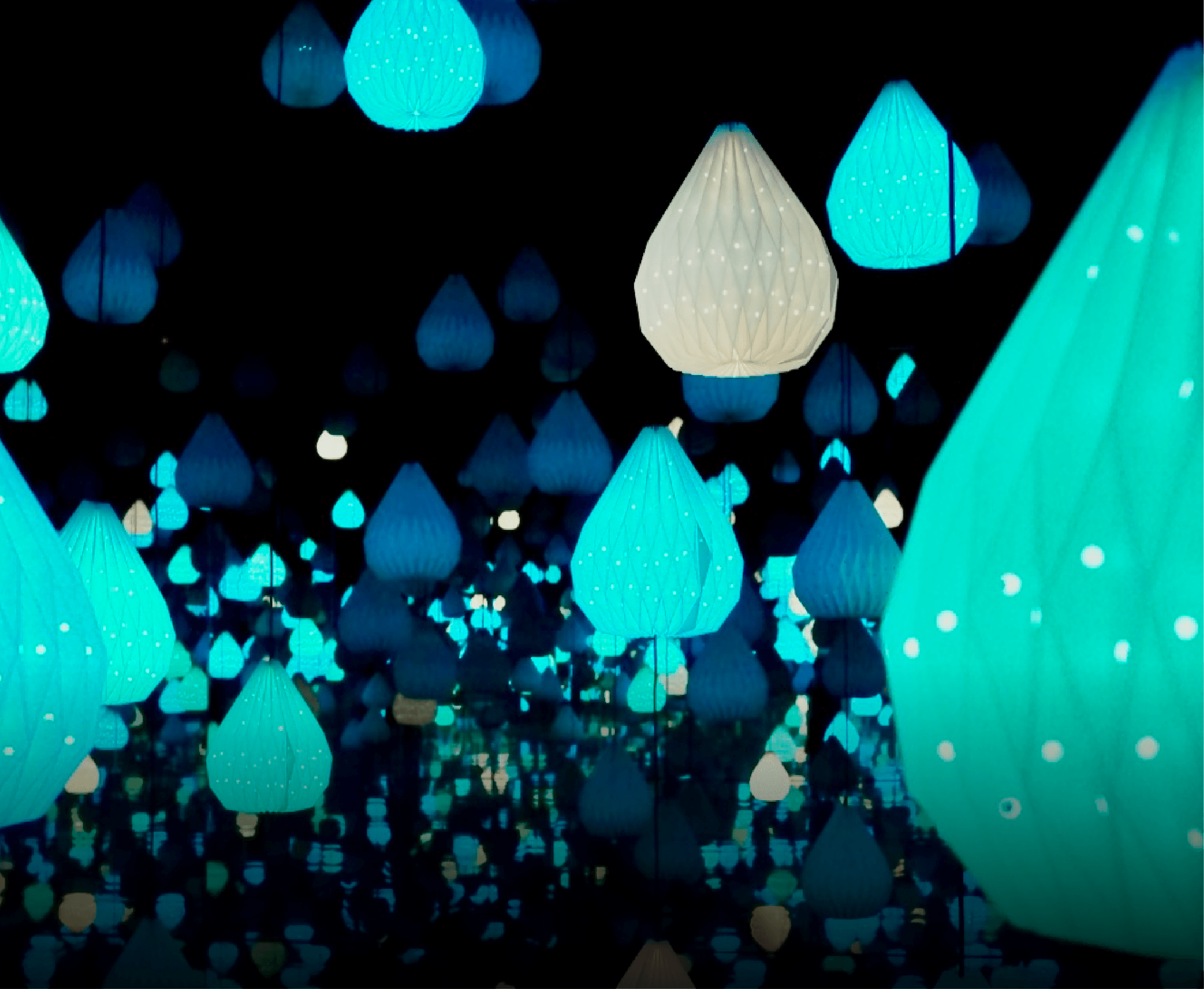 Starlight Garden