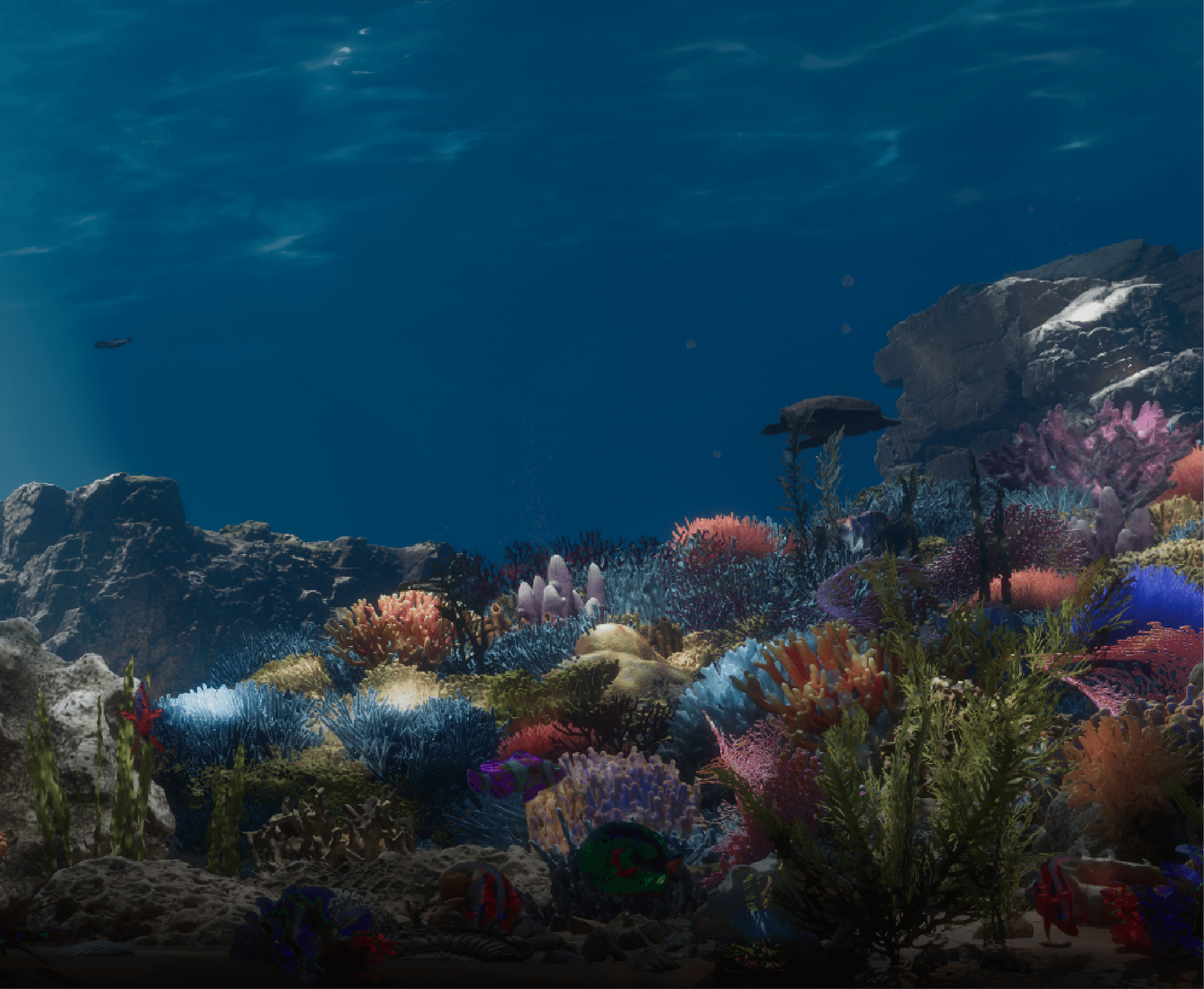Canvas Oceania